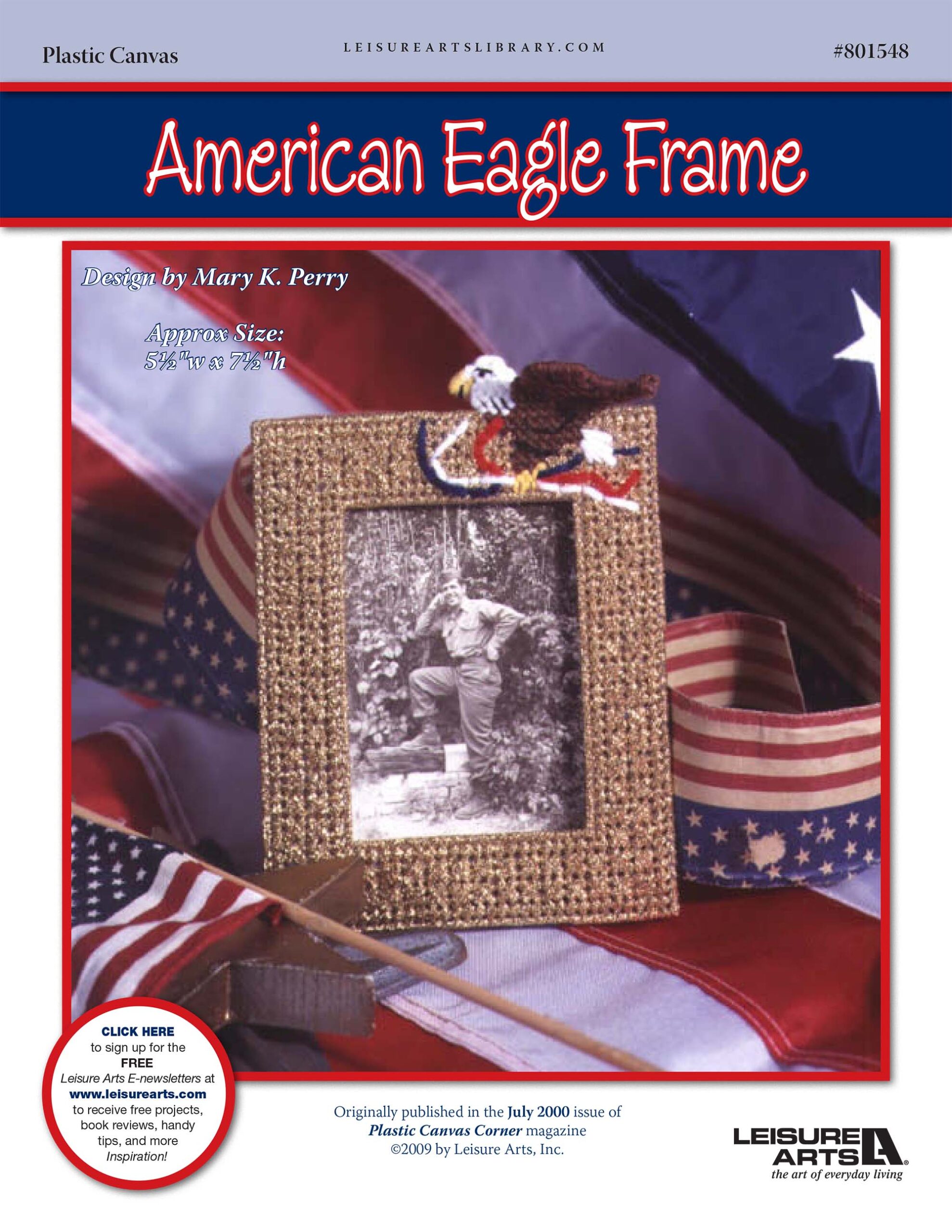 Leisure Arts American Eagle Frame Plastic Canvas ePattern