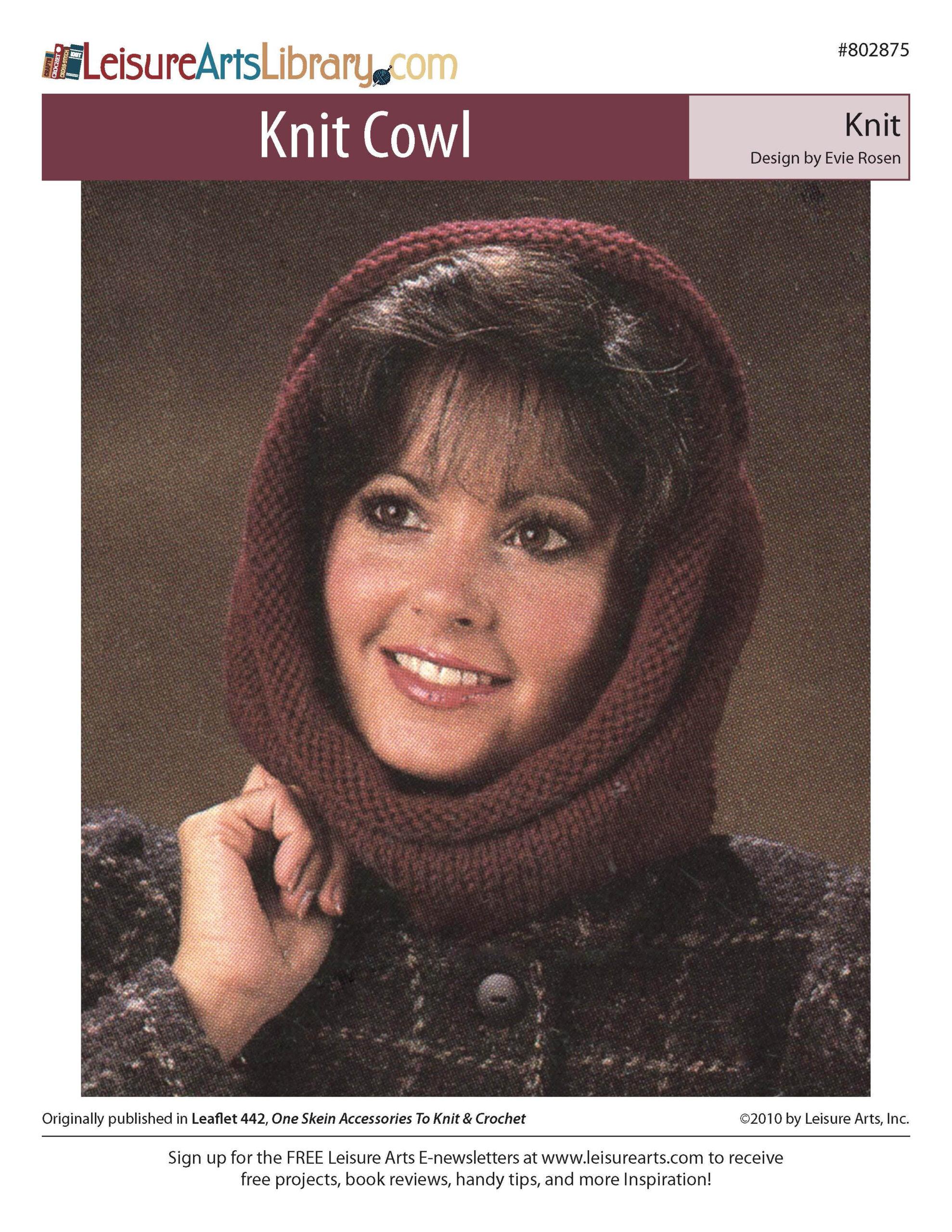 Leisure Arts One Skein Accessories To Knit And Crochet Cowl ePattern