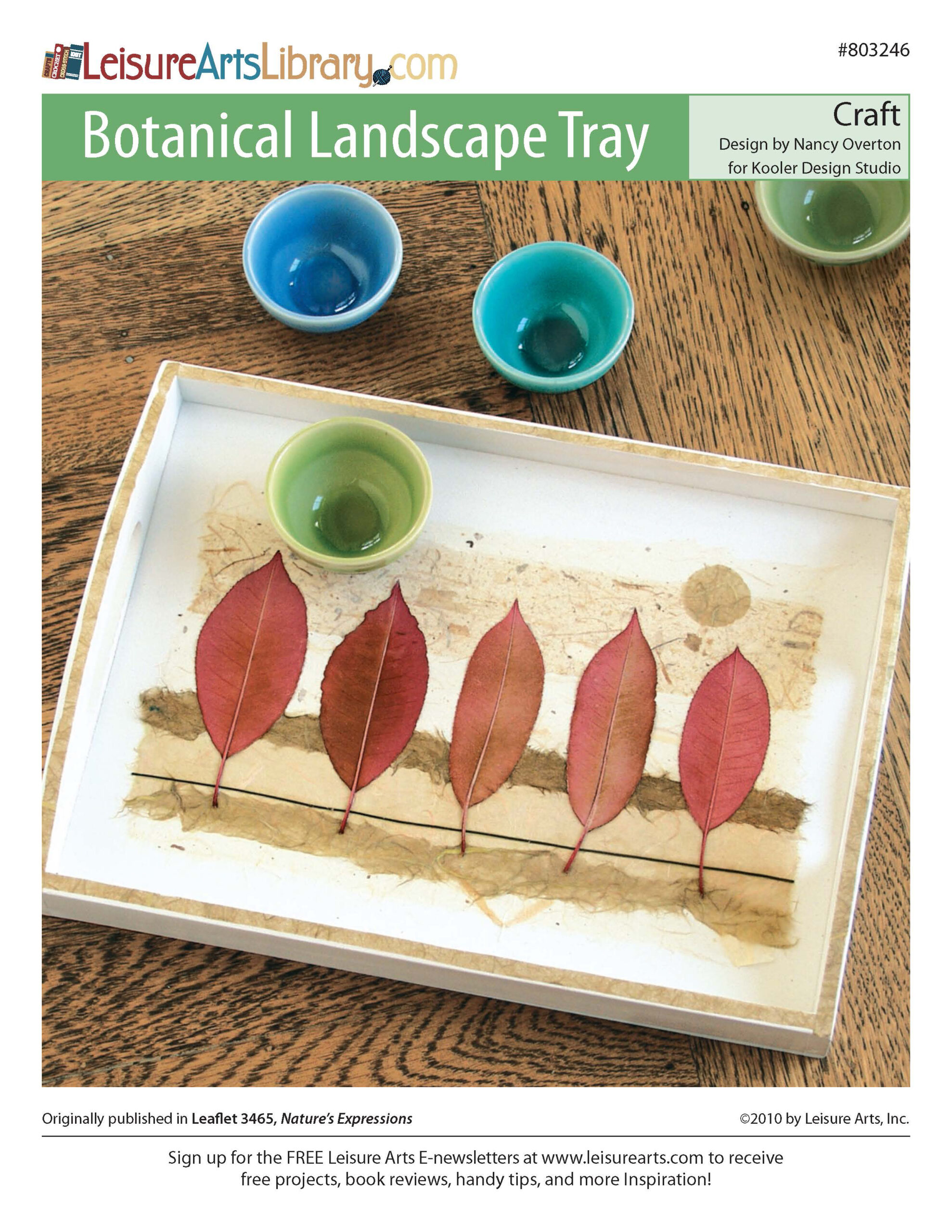 Leisure Arts Natures Expressions Landscape Tray Craft ePattern