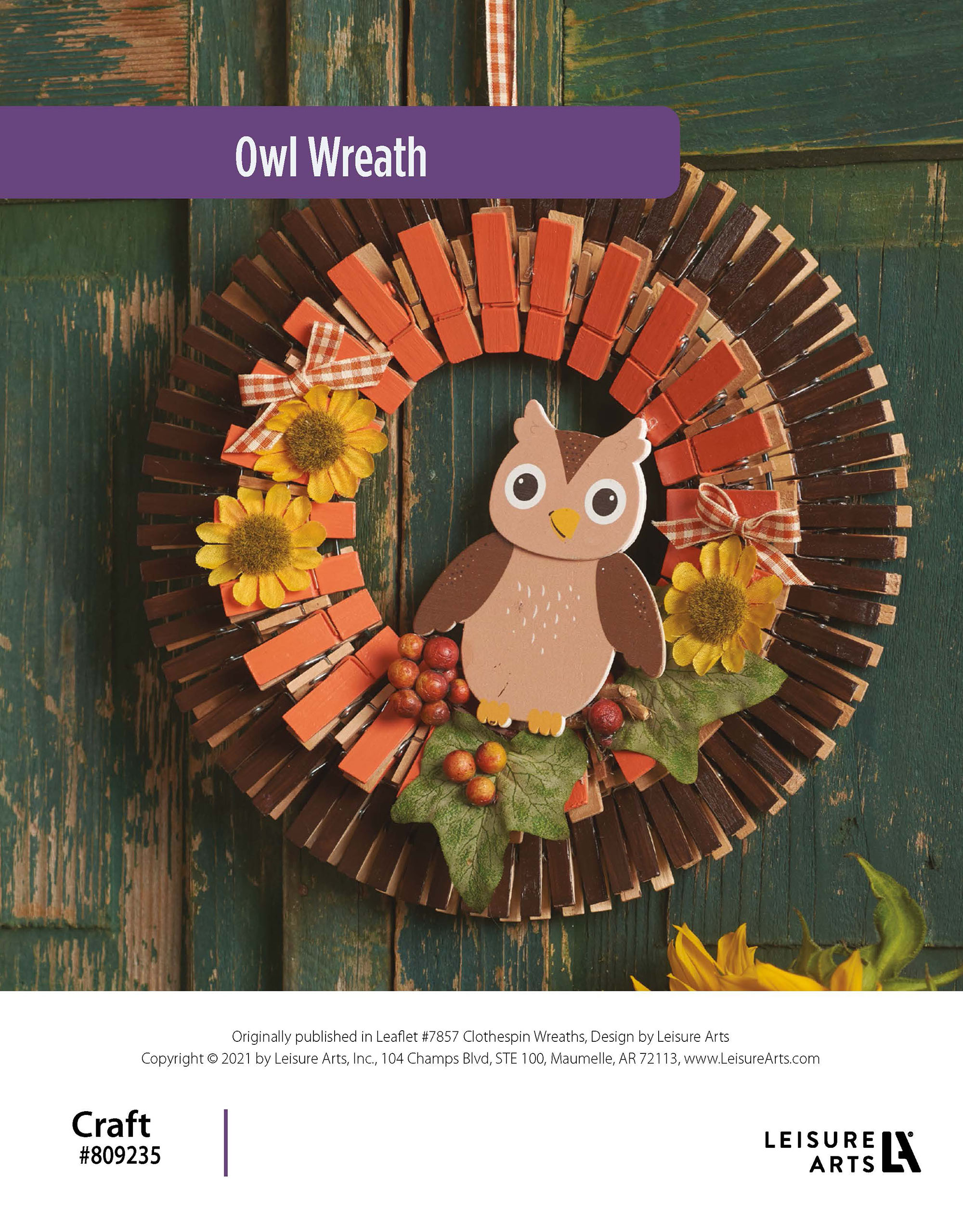 Leisure Arts Clothespin Wreaths Owl ePattern