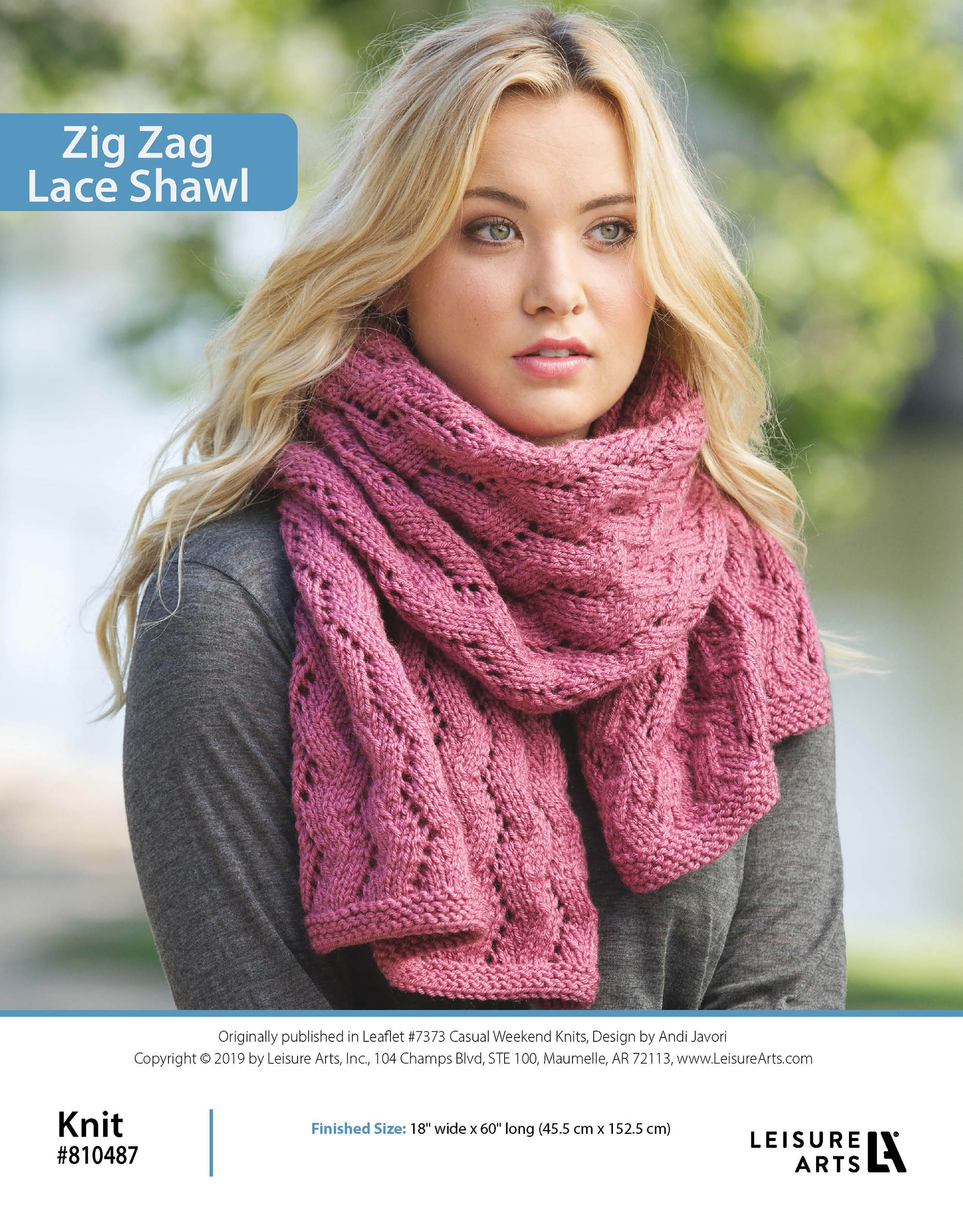 Leisure Arts Casual Weekend Knit Zig Zag Lace Shawl ePattern