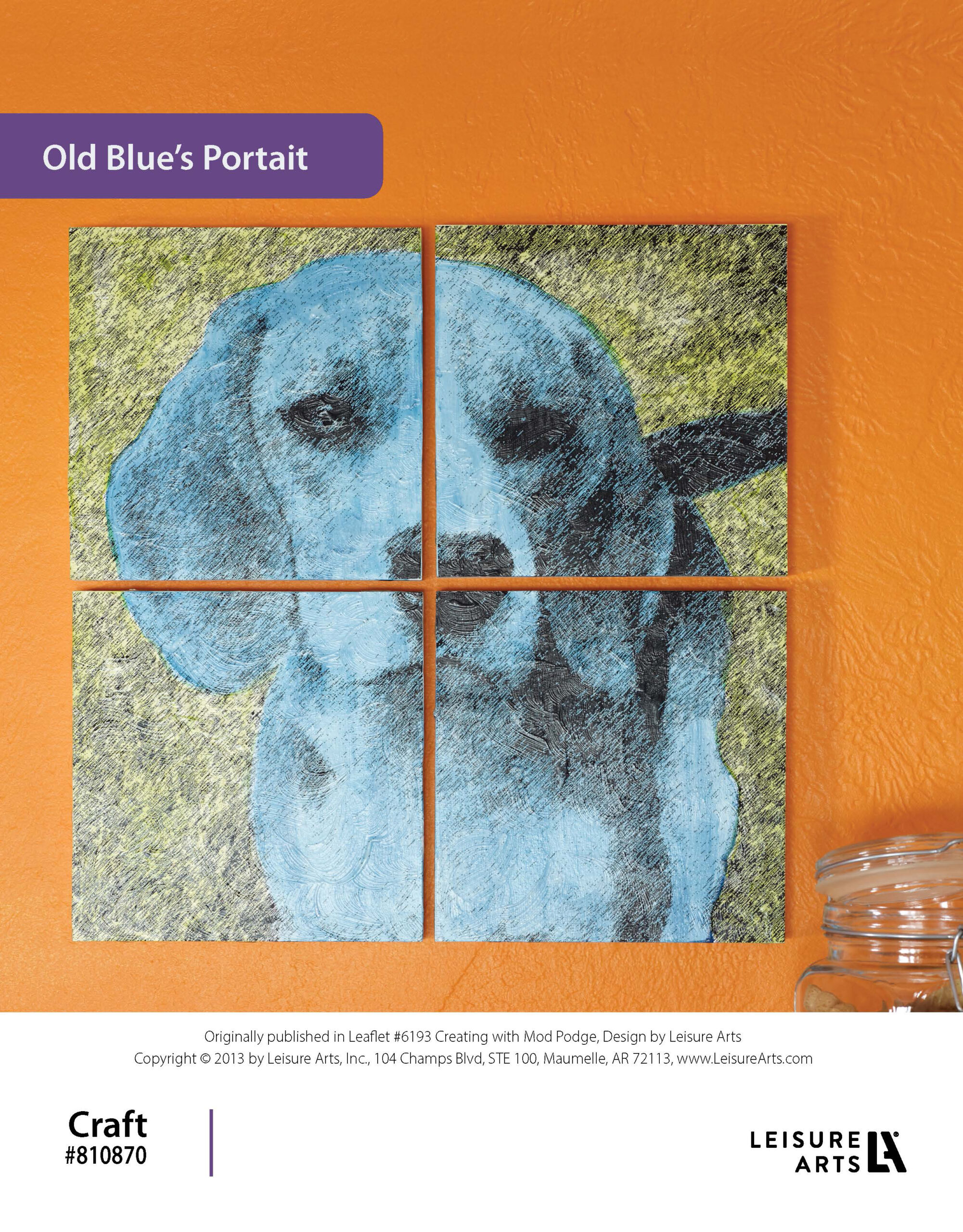 Leisure Arts Creating With Mod Podge Old BlueAEs Portrait ePattern